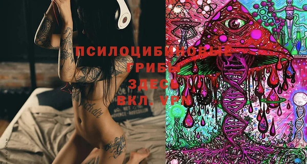 apvp Верхний Тагил